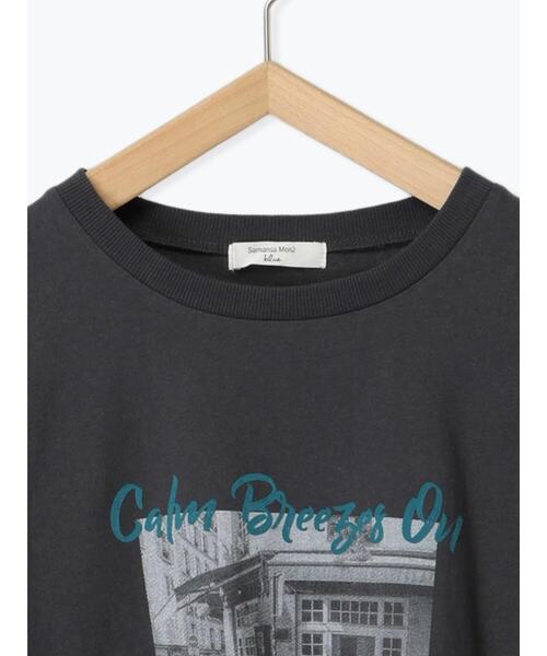 Samansa Mos2 blue（サマンサモスモスブルー）の「フォトプリントロンT（Tシャツ/カットソー・レディース・シルバーグレー/チャコールグレー/オフホワイト・F）」の6枚目の写真