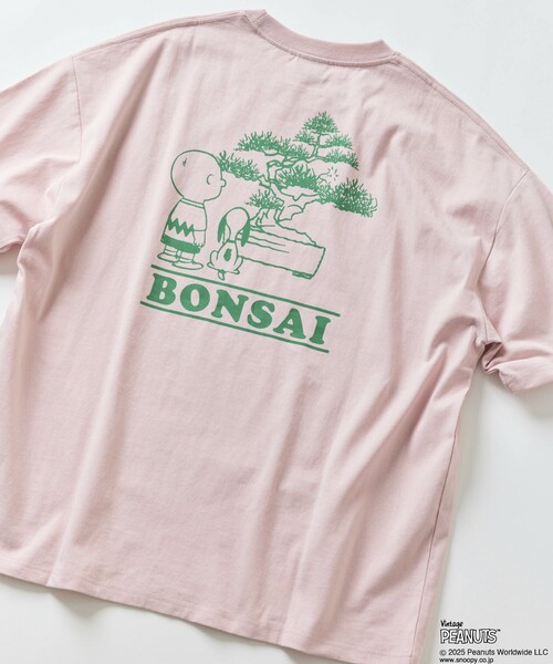 フジファブリック　Tシャツ　ウッドストック　ピーナッツ GOODS | フジファブリック Official Website
