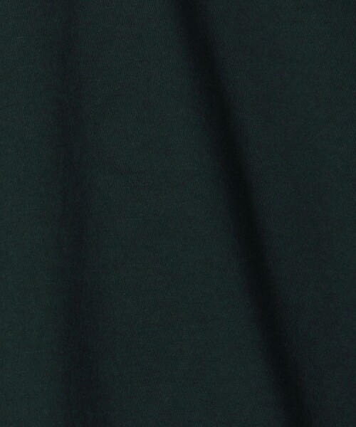 JAMES PERSE(ジェームスパース)の「コットンジャージー ラウンジTシャツ MLJ3311(Tシャツ/カットソー・メンズ・ダークグリーン/グレー/ライトブルー・0/1/2/3)」の20枚目の写真