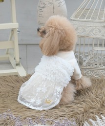 ROPE' PICNIC(ysNjbN)ROPE' PICNIC/hbLO`[s[X(ybgEFA)