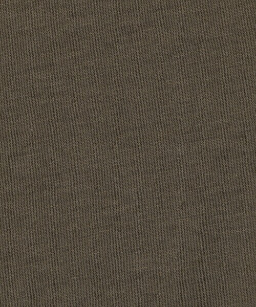 JAMES PERSE(ジェームスパース)の「リュクスジャージー クルーネックTシャツ MELJ3199(Tシャツ/カットソー・メンズ・カーキ/ライトグレー・1)」の11枚目の写真