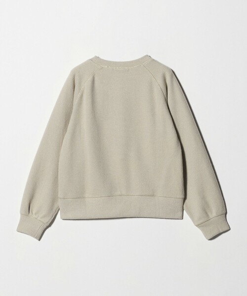 A DAY IN THE LIFE UNITED ARROWS(アデイインザライフユナイテッドアローズ)の「ニットライク ラメステッチ スウェット <A DAY IN THE LIFE>(スウェット・レディース・ベージュ/ライトグレー/ライトブルー・FREE)」の12枚目の写真