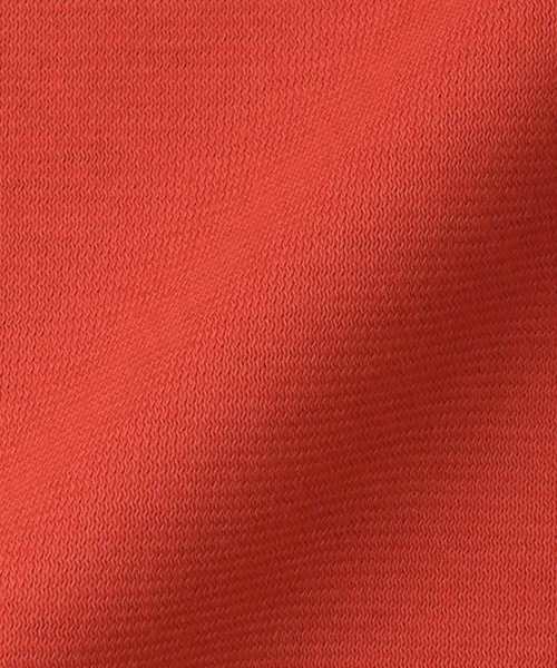 DRESSLAVE(ドレスレイブ)の「color sleeveless tee(カラースリーブレスTシャツ)(Tシャツ/カットソー・レディース・レッド/ブルー・38)」の16枚目の写真