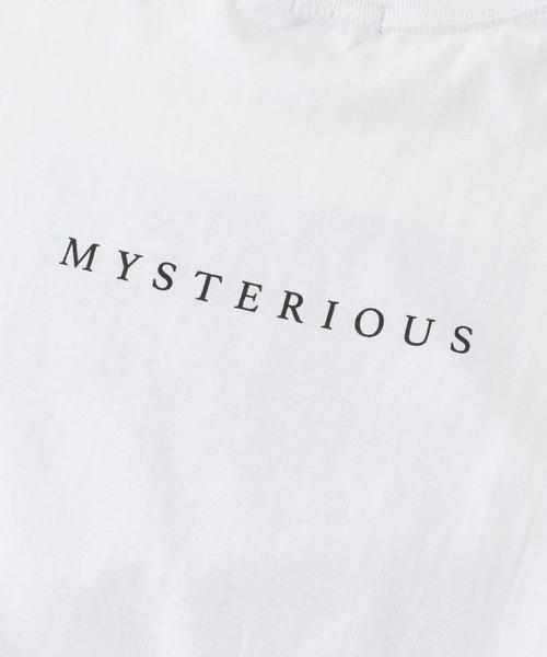 ITEMS URBANRESEARCH(アイテムズ アーバンリサーチ)の「ボックスフォトプリント Tシャツ(Tシャツ/カットソー・メンズ・その他1/その他2/その他3・MEDIUM/LARGE)」の18枚目の写真