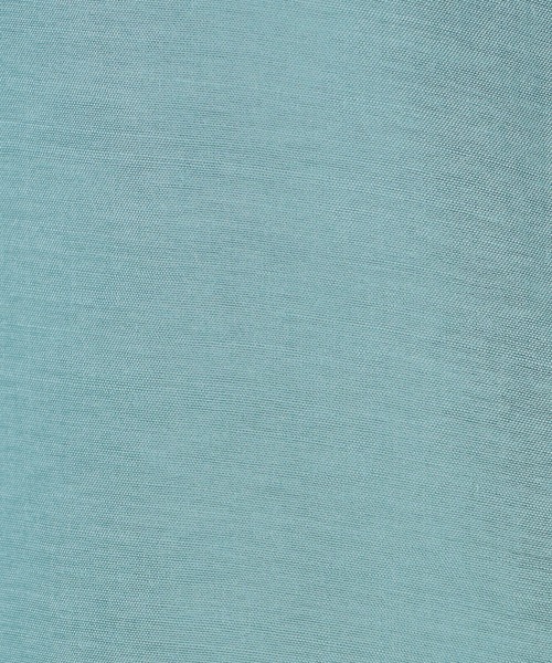 NICOLE white（ニコルホワイト）の「シアーブラウス（シャツ/ブラウス・レディース・グリーン/ラベンダー/イエロー/サックスブルー/オフホワイト・FREE）」の18枚目の写真