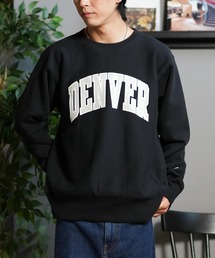 CHAMPION/チャンピオン スウェットトレーナー 裏起毛 セットアップ対応 ユニセックス C3-A024