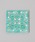 TODAY'S SPECIALigDfCYXyVj́u`jWA`^Ci|X^[/A[gjvb`F[sN