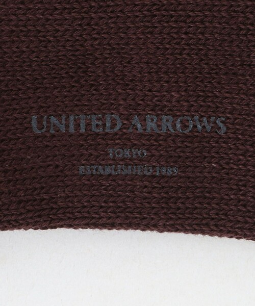 UNITED ARROWS(ユナイテッドアローズ)の「ボリューム リブソックス(ソックス/靴下・メンズ・ライトブルー/ベージュ/ピンク/ダークブラウン・FREE)」の9枚目の写真