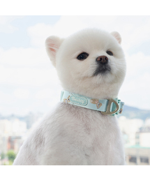 Bailey（ベイリー）の「子犬散歩テディウォーキー首輪（リード/ハーネス/首輪）」