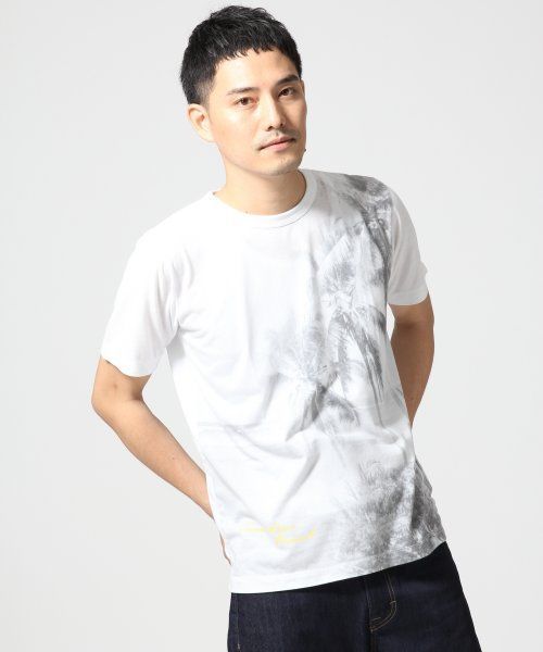 GLOBAL WORK(グローバルワーク)の「【WEB限定価格】フォトプリントTシャツ/546671(Tシャツ/カットソー・メンズ・グレー/ネイビー/ホワイト/ホワイト系その他・X-LARGE/MEDIUM/SMALL/LARGE)」の2枚目の写真