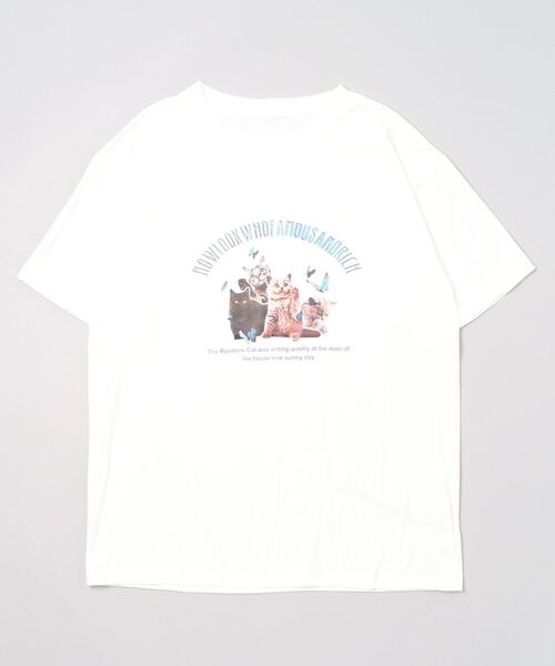 Auntie Rosa(アンティローザ)の「キャットプリントTシャツ(Tシャツ/カットソー・レディース・ピンク/イエロー/ブラック/ホワイト/ブルー/グリーン/パープル・X-LARGE)」の17枚目の写真