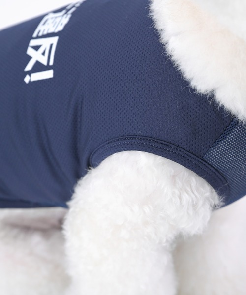 Best Friends(ベストフレンズ)の「Best Friends ベストフレンズ: スピード違反! 犬服 クールメッシュタンク(ペットウェア・レディース・ブルー・S/M/L/XL/XXL)」の22枚目の写真