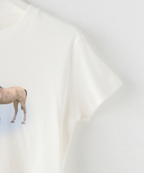 Attends / アテンズ】SYMBIOSIS TEE SHIRT（Tシャツ/カットソー