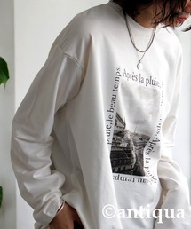 フォトロゴロンT