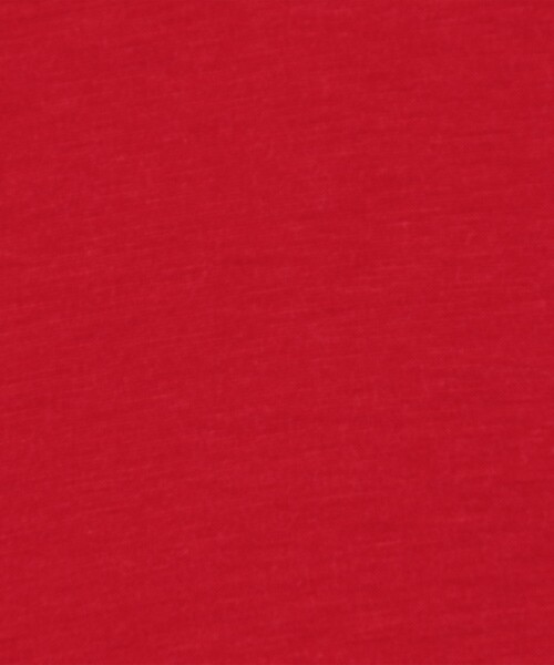BACCA（バッカ）の「テンセルシルク ベーシックTシャツ（Tシャツ/カットソー・レディース・ライトグレー/レッド・S）」の11枚目の写真