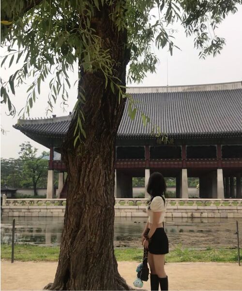 BLACKPURPLE(ブラックパープル)の「マルコバッグ Marco Bag_BLACK(ショルダーバッグ・レディース・ブラック・FREE)」の12枚目の写真