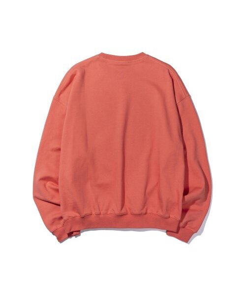 EXTRAORDINARY(エクストラオーディナリー)の「DIGITAL GYPSY PRINT CREWNECK ORANGE(スウェット・メンズ・その他・LARGE/X-LARGE/MEDIUM)」の10枚目の写真