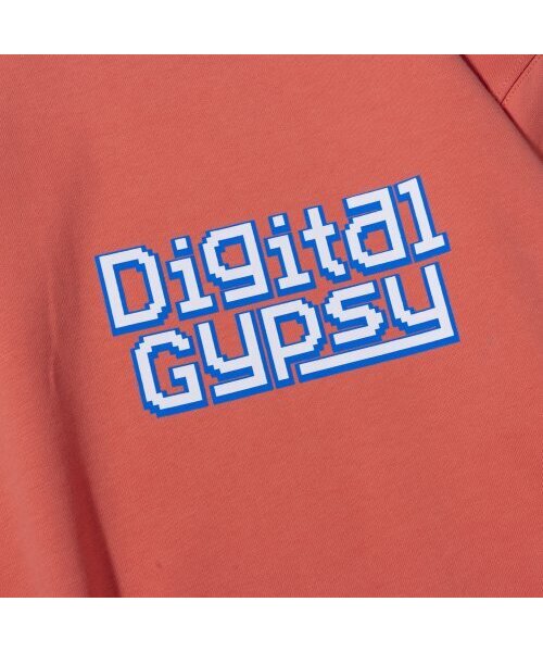 EXTRAORDINARY(エクストラオーディナリー)の「DIGITAL GYPSY PRINT CREWNECK ORANGE(スウェット・メンズ・その他・LARGE/X-LARGE/MEDIUM)」の4枚目の写真