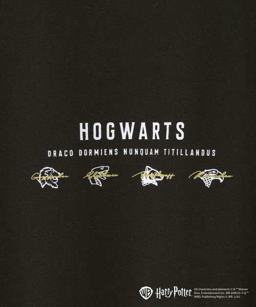 GLOBAL WORK(グローバルワーク)の「Harry PotterヘビロッTEE半袖/670025(Tシャツ/カットソー・キッズ・ダークグレー/チャコールグレー/ホワイト系その他5/ホワイト系その他6/ホワイト系その他7/ブラック・130cm/140cm/150cm/160cm)」の17枚目の写真