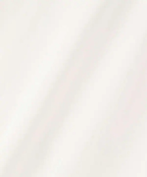 N.（N. Natural Beauty Basic）（エヌエヌナチュラルビューティーベーシック）の「◆ギャザーカーブスリーブワンピース（ワンピース・レディース・オフホワイト/ブラック/ブルー系その他・MEDIUM）」の17枚目の写真