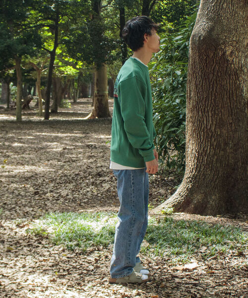 Franklin Climbing(フランクリンクライミング)の「【Franklin Climbing/フランクリンクライミング】ロゴスウエット バックプリント(スウェット・メンズ・ピンク/グリーン/ベージュ/チャコールグレー/グレー・L/M)」の15枚目の写真