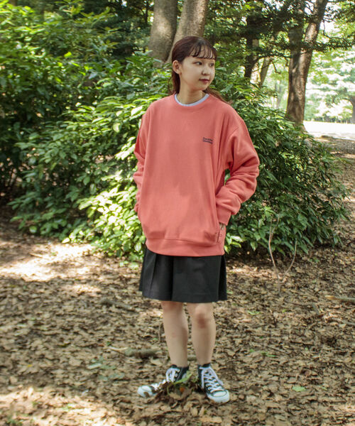 Franklin Climbing(フランクリンクライミング)の「【Franklin Climbing/フランクリンクライミング】ロゴスウエット バックプリント(スウェット・メンズ・ピンク/グリーン/ベージュ/チャコールグレー/グレー・L/M)」の20枚目の写真