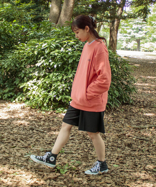 Franklin Climbing(フランクリンクライミング)の「【Franklin Climbing/フランクリンクライミング】ロゴスウエット バックプリント(スウェット・メンズ・ピンク/グリーン/ベージュ/チャコールグレー/グレー・L/M)」の21枚目の写真