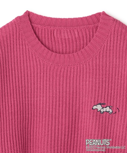PEANUTS（ピーナッツ）の「【ピーナッツ/PEANUTS】スヌーピービック 