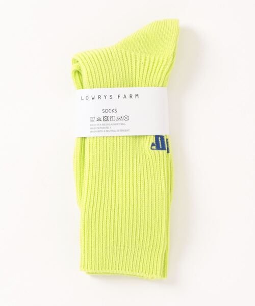 LOWRYS FARM（ローリーズファーム）の「ＬＦロゴシシュウソックス 103897（ソックス/靴下・レディース・ブルー/アイボリー/グリーン・FREE）」の3枚目の写真