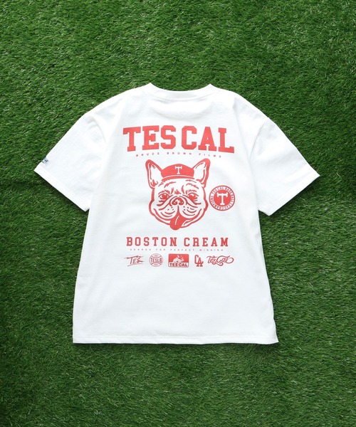 The Endless Summer(エンドレスサマー)の「TES BUHI LEAGUE T-SHIRT / Tシャツ(Tシャツ/カットソー・メンズ・ブラウン/レッド/オレンジ/ブルー・SMALL/X-LARGE/LARGE/MEDIUM)」の6枚目の写真