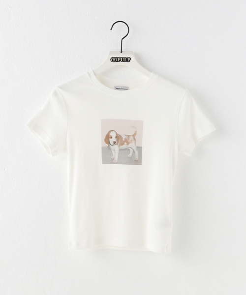 Attends / アテンズ】BABY DOG TEE SHIRT 2（Tシャツ/カットソー