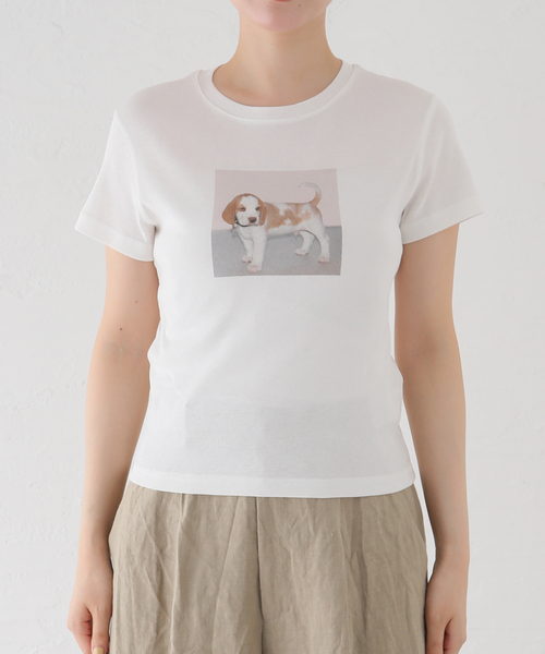Attends / アテンズ】BABY DOG TEE SHIRT 2（Tシャツ/カットソー