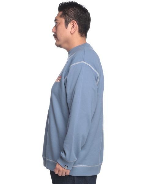 【セール】VISION STREET WEAR バックプリント クルーネック トレーナー（スウェット）｜VISION STREET WEAR（ヴィジョンストリートウェア）