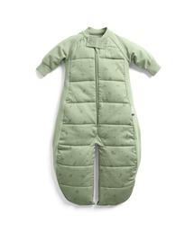 ergoPouch（エルゴポーチ）の「ergoPouch/スリープスーツバッグ 2.5TOG（8ヶ月～／歩き始めのベビー＆キッズ用スリーパー）（おくるみ）」