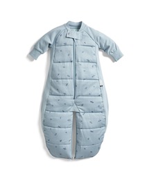 ergoPouch（エルゴポーチ）の「ergoPouch/スリープスーツバッグ 2.5TOG（8ヶ月～／歩き始めのベビー＆キッズ用スリーパー）（おくるみ）」