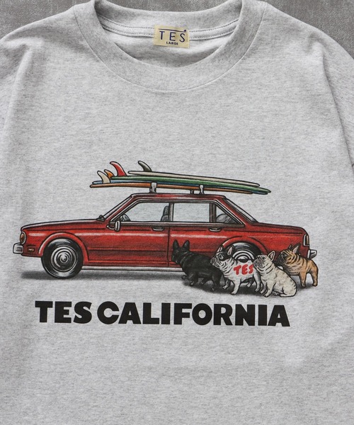 The Endless Summer(エンドレスサマー)の「TES 4 BUHI CHASING THE WAVES LONG SLEEVE T-SHIRT / ロンT(Tシャツ/カットソー・メンズ・ホワイト/ベージュ/グリーン系その他3/グレー・SMALL/MEDIUM/LARGE/X-LARGE/XX-LARGE)」の13枚目の写真