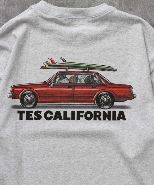 The Endless Summer(エンドレスサマー)の「TES 4 BUHI CHASING THE WAVES LONG SLEEVE T-SHIRT / ロンT(Tシャツ/カットソー・メンズ・ホワイト/ベージュ/グリーン系その他3/グレー・SMALL/MEDIUM/LARGE/X-LARGE/XX-LARGE)」の14枚目の写真