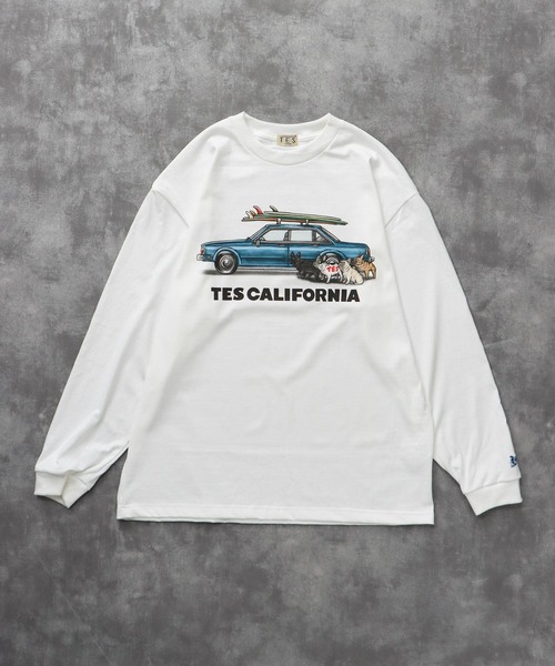 The Endless Summer(エンドレスサマー)の「TES 4 BUHI CHASING THE WAVES LONG SLEEVE T-SHIRT / ロンT(Tシャツ/カットソー・メンズ・ホワイト/ベージュ/グリーン系その他3/グレー・SMALL/MEDIUM/LARGE/X-LARGE/XX-LARGE)」の5枚目の写真