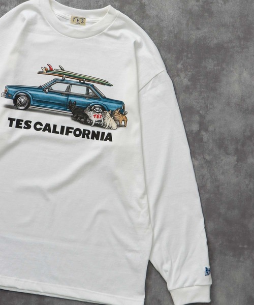 The Endless Summer(エンドレスサマー)の「TES 4 BUHI CHASING THE WAVES LONG SLEEVE T-SHIRT / ロンT(Tシャツ/カットソー・メンズ・ホワイト/ベージュ/グリーン系その他3/グレー・SMALL/MEDIUM/LARGE/X-LARGE/XX-LARGE)」の7枚目の写真
