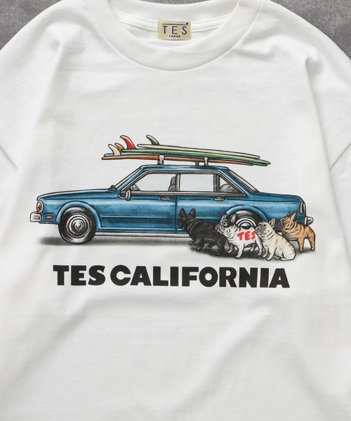 The Endless Summer(エンドレスサマー)の「TES 4 BUHI CHASING THE WAVES LONG SLEEVE T-SHIRT / ロンT(Tシャツ/カットソー・メンズ・ホワイト/ベージュ/グリーン系その他3/グレー・SMALL/MEDIUM/LARGE/X-LARGE/XX-LARGE)」の8枚目の写真