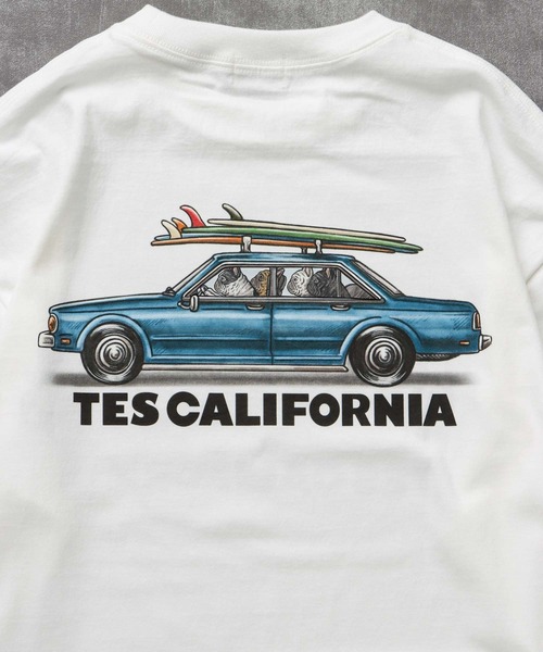 The Endless Summer(エンドレスサマー)の「TES 4 BUHI CHASING THE WAVES LONG SLEEVE T-SHIRT / ロンT(Tシャツ/カットソー・メンズ・ホワイト/ベージュ/グリーン系その他3/グレー・SMALL/MEDIUM/LARGE/X-LARGE/XX-LARGE)」の9枚目の写真