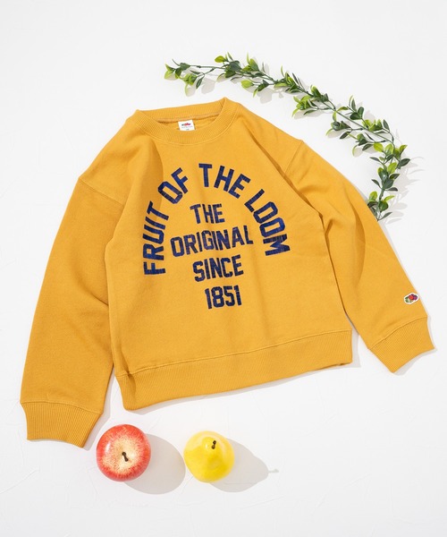 FRUIT OF THE LOOM（フルーツオブザルーム）の「【FRUIT OF THE LOOM】プリントスウェット① / キッズ / ユニセックス / ロゴプリント（スウェット・キッズ・オレンジ/ブラック/ブルー・110cm/130cm/150cm）」の7枚目の写真