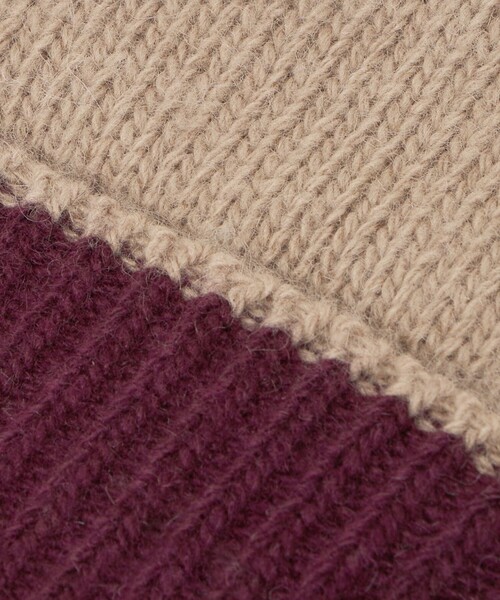 green label relaxing(グリーンレーベルリラクシング)の「バイカラー ニット グローブ -タッチパネル対応-(手袋・メンズ・ダークブラウン/ベージュ/ロイヤルブルー/ブラック・FREE)」の10枚目の写真