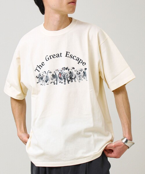 GLOSTER（グロスター）の「【あの名作をオマージュ】犬猫実写風プリントTシャツ（Tシャツ/カットソー・メンズ・ホワイト系その他4/ホワイト系その他2/ホワイト系その他3/ホワイト系その他・L/M/S）」の3枚目の写真