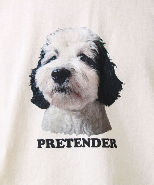 GLOSTER（グロスター）の「【あの名作をオマージュ】犬猫実写風プリントTシャツ（Tシャツ/カットソー・メンズ・ホワイト系その他4/ホワイト系その他2/ホワイト系その他3/ホワイト系その他・L/M/S）」の13枚目の写真