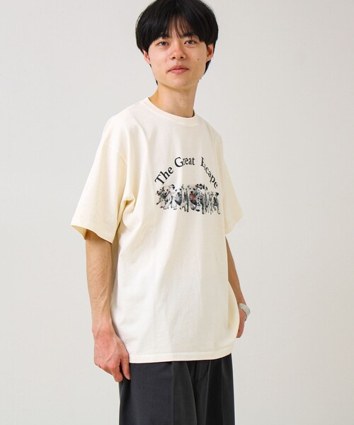 GLOSTER（グロスター）の「【あの名作をオマージュ】犬猫実写風プリントTシャツ（Tシャツ/カットソー・メンズ・ホワイト系その他4/ホワイト系その他2/ホワイト系その他3/ホワイト系その他・L/M/S）」の14枚目の写真