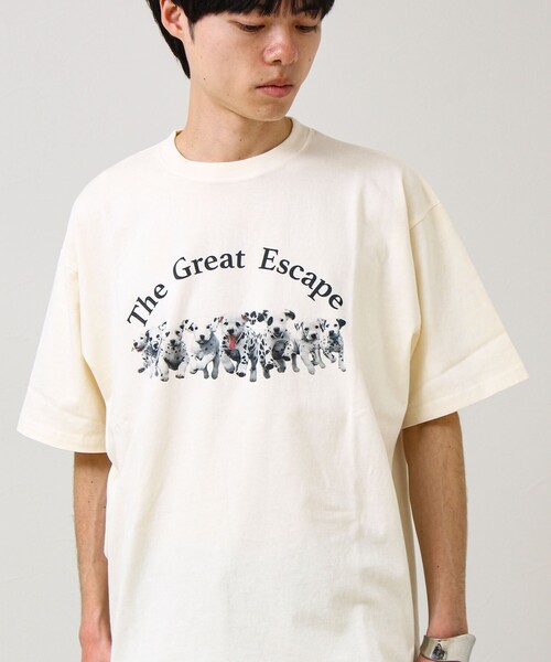 GLOSTER（グロスター）の「【あの名作をオマージュ】犬猫実写風プリントTシャツ（Tシャツ/カットソー・メンズ・ホワイト系その他4/ホワイト系その他2/ホワイト系その他3/ホワイト系その他・L/M/S）」の15枚目の写真