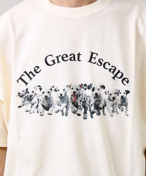 GLOSTER（グロスター）の「【あの名作をオマージュ】犬猫実写風プリントTシャツ（Tシャツ/カットソー・メンズ・ホワイト系その他4/ホワイト系その他2/ホワイト系その他3/ホワイト系その他・L/M/S）」の16枚目の写真