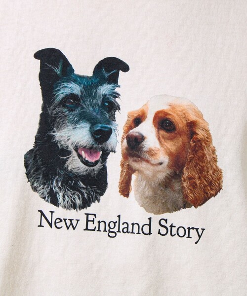 GLOSTER（グロスター）の「【あの名作をオマージュ】犬猫実写風プリントTシャツ（Tシャツ/カットソー・メンズ・ホワイト系その他4/ホワイト系その他2/ホワイト系その他3/ホワイト系その他・L/M/S）」の22枚目の写真