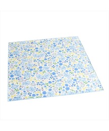 BACKYARD FAMILY(�o�b�N���[�h�t�@�~���[)��Hill&Fields �����`�N���X(�����`�����}�b�g/�e�[�u���E�F�A)